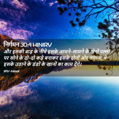 Picture 02 - निर्गमन 30:4 HINIRV - और इसकी बाड़ के - Bible Verse Picture