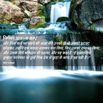 Picture 02 - निर्गमन 32:8 HINIRV - और जिस मार्ग पर - Bible Verse Picture