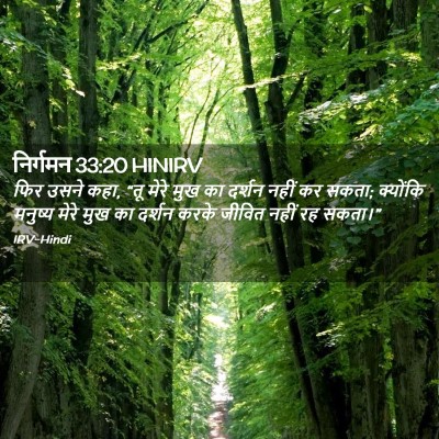 Picture 02 - निर्गमन 33:20 HINIRV - फिर उसने कहा, “तू - Bible Verse Picture