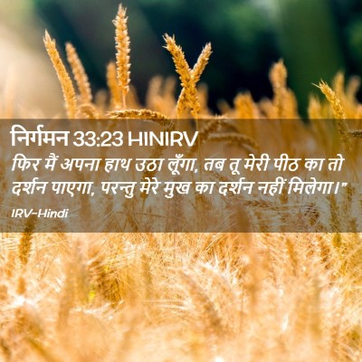 Picture 02 - निर्गमन 33:23 HINIRV - फिर मैं अपना हाथ - Bible Verse Picture
