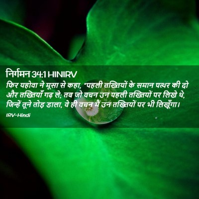 Picture 02 - निर्गमन 34:1 HINIRV - फिर यहोवा ने मूसा - Bible Verse Picture