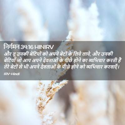 Picture 02 - निर्गमन 34:16 HINIRV - और तू उनकी बेटियों - Bible Verse Picture