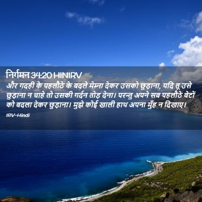 Picture 02 - निर्गमन 34:20 HINIRV - और गदही के पहलौठे - Bible Verse Picture