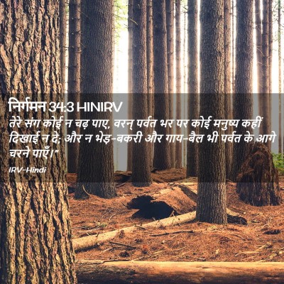 Picture 02 - निर्गमन 34:3 HINIRV - तेरे संग कोई न चढ़ - Bible Verse Picture
