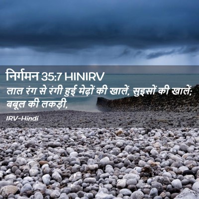 Picture 02 - निर्गमन 35:7 HINIRV - लाल रंग से रंगी हुई - Bible Verse Picture