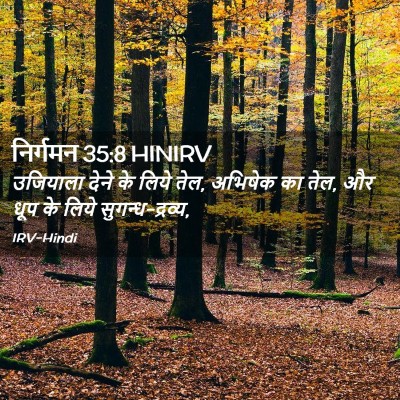 Picture 02 - निर्गमन 35:8 HINIRV - उजियाला देने के - Bible Verse Picture