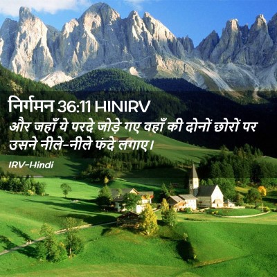 Picture 02 - निर्गमन 36:11 HINIRV - और जहाँ ये परदे - Bible Verse Picture
