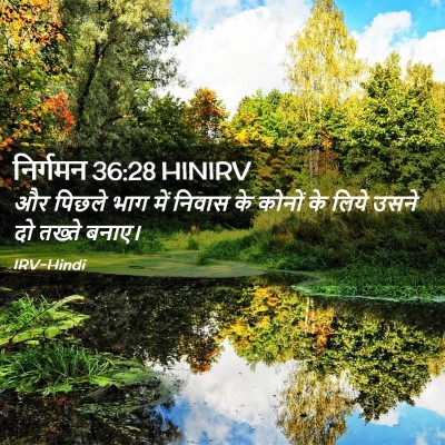 Picture 02 - निर्गमन 36:28 HINIRV - और पिछले भाग में - Bible Verse Picture