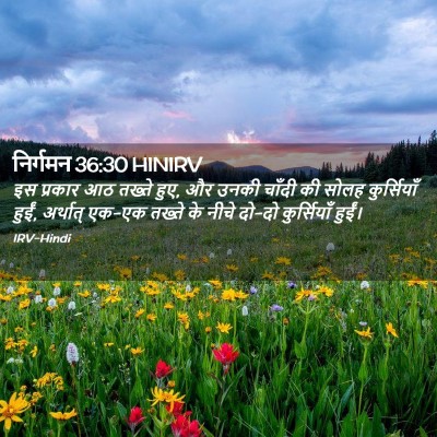 Picture 02 - निर्गमन 36:30 HINIRV - इस प्रकार आठ तख्ते - Bible Verse Picture