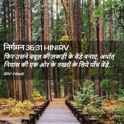 Picture 02 - निर्गमन 36:31 HINIRV - फिर उसने बबूल की - Bible Verse Picture