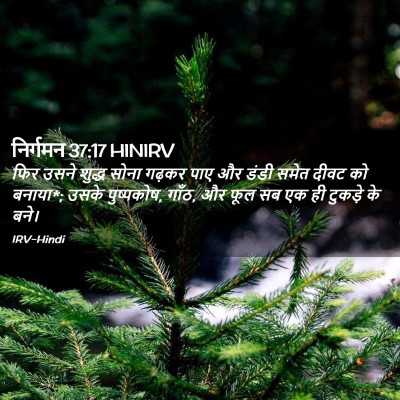 Picture 02 - निर्गमन 37:17 HINIRV - फिर उसने शुद्ध - Bible Verse Picture