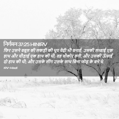 Picture 02 - निर्गमन 37:25 HINIRV - फिर उसने बबूल की - Bible Verse Picture