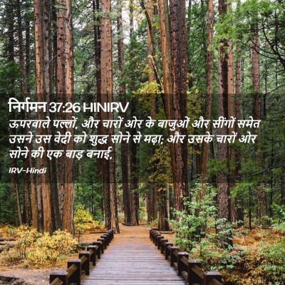 Picture 02 - निर्गमन 37:26 HINIRV - ऊपरवाले पल्लों, और - Bible Verse Picture