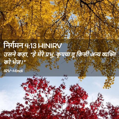 Picture 02 - निर्गमन 4:13 HINIRV - उसने कहा, “हे मेरे - Bible Verse Picture