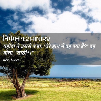 Picture 02 - निर्गमन 4:2 HINIRV - यहोवा ने उससे कहा, - Bible Verse Picture
