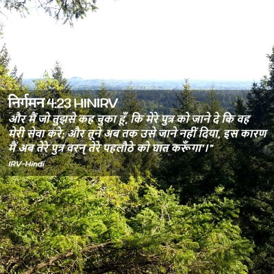 Picture 02 - निर्गमन 4:23 HINIRV - और मैं जो तुझसे कह - Bible Verse Picture