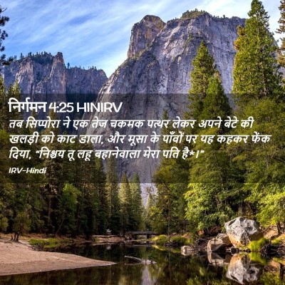 Picture 02 - निर्गमन 4:25 HINIRV - तब सिप्पोरा ने एक - Bible Verse Picture