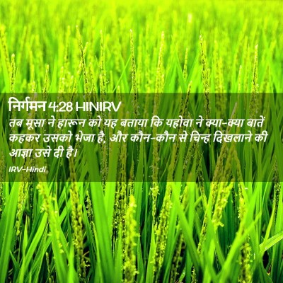 Picture 02 - निर्गमन 4:28 HINIRV - तब मूसा ने हारून को - Bible Verse Picture