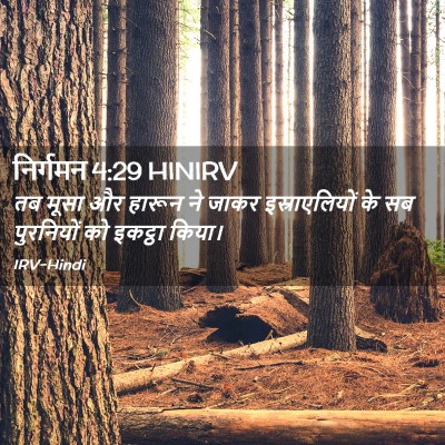 Picture 02 - निर्गमन 4:29 HINIRV - तब मूसा और हारून ने - Bible Verse Picture