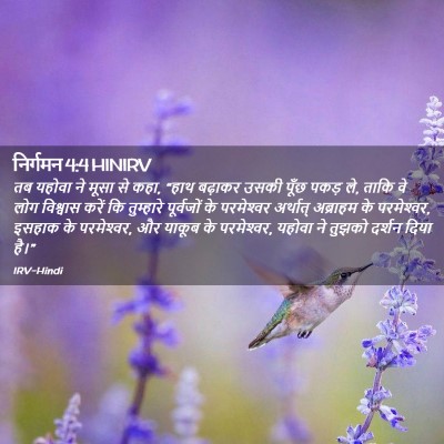 Picture 02 - निर्गमन 4:4 HINIRV - तब यहोवा ने मूसा से - Bible Verse Picture