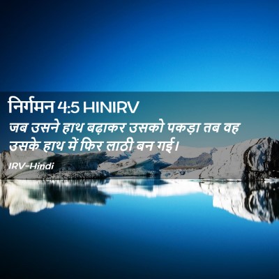 Picture 02 - निर्गमन 4:5 HINIRV - जब उसने हाथ बढ़ाकर - Bible Verse Picture