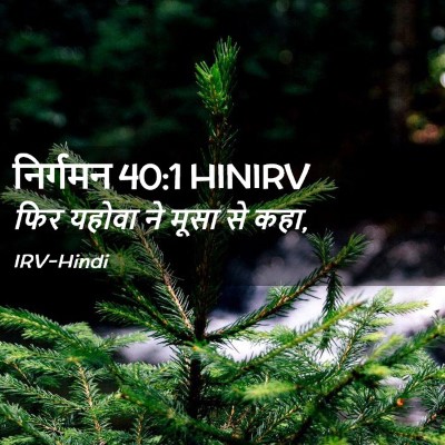 Picture 02 - निर्गमन 40:1 HINIRV - फिर यहोवा ने मूसा - Bible Verse Picture