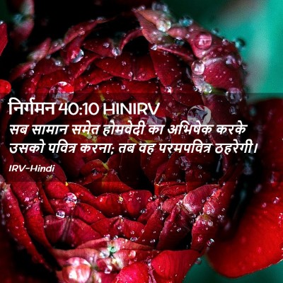 Picture 02 - निर्गमन 40:10 HINIRV - सब सामान समेत - Bible Verse Picture
