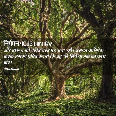 Picture 02 - निर्गमन 40:13 HINIRV - और हारून को पवित्र - Bible Verse Picture