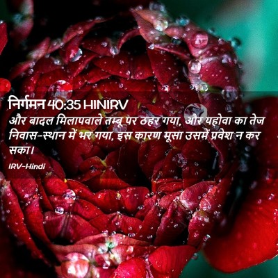 Picture 02 - निर्गमन 40:35 HINIRV - और बादल मिलापवाले - Bible Verse Picture