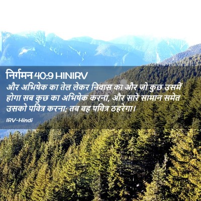 Picture 02 - निर्गमन 40:9 HINIRV - और अभिषेक का तेल - Bible Verse Picture