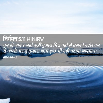 Picture 02 - निर्गमन 5:11 HINIRV - तुम ही जाकर जहाँ - Bible Verse Picture
