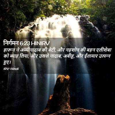 Picture 02 - निर्गमन 6:23 HINIRV - हारून ने - Bible Verse Picture