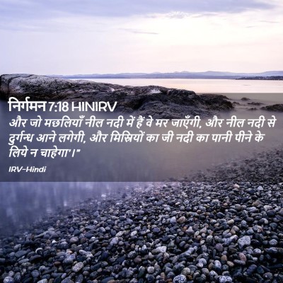 Picture 02 - निर्गमन 7:18 HINIRV - और जो मछलियाँ नील - Bible Verse Picture