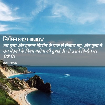 Picture 02 - निर्गमन 8:12 HINIRV - तब मूसा और हारून - Bible Verse Picture