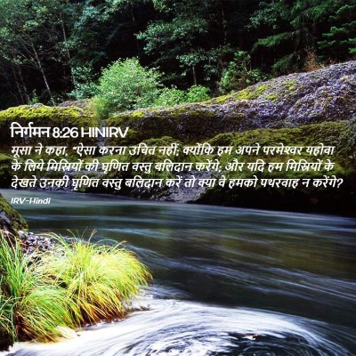 Picture 02 - निर्गमन 8:26 HINIRV - मूसा ने कहा, “ऐसा - Bible Verse Picture