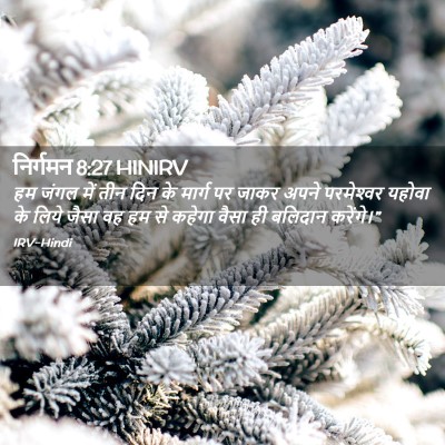 Picture 02 - निर्गमन 8:27 HINIRV - हम जंगल में तीन दिन - Bible Verse Picture