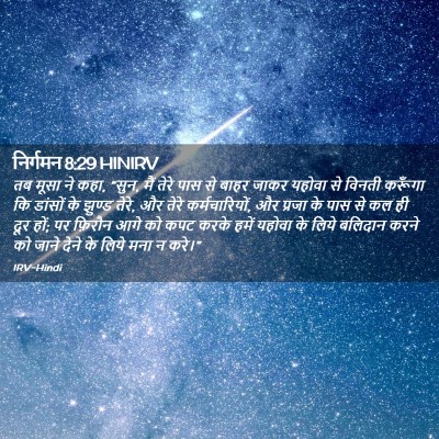 Picture 02 - निर्गमन 8:29 HINIRV - तब मूसा ने कहा, - Bible Verse Picture
