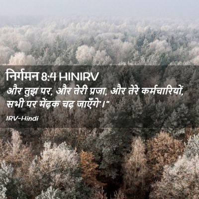 Picture 02 - निर्गमन 8:4 HINIRV - और तुझ पर, और तेरी - Bible Verse Picture