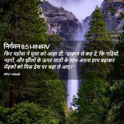 Picture 02 - निर्गमन 8:5 HINIRV - फिर यहोवा ने मूसा - Bible Verse Picture