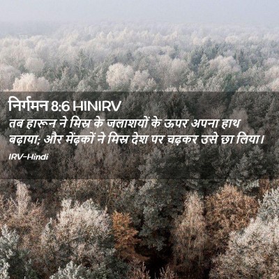 Picture 02 - निर्गमन 8:6 HINIRV - तब हारून ने मिस्र - Bible Verse Picture