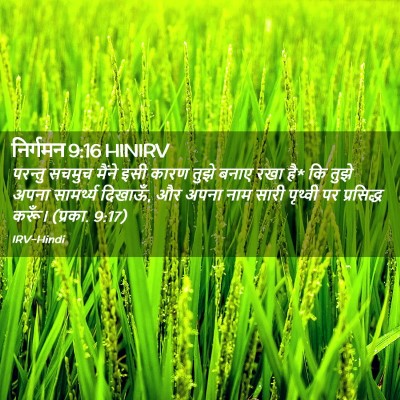 Picture 02 - निर्गमन 9:16 HINIRV - परन्तु सचमुच - Bible Verse Picture