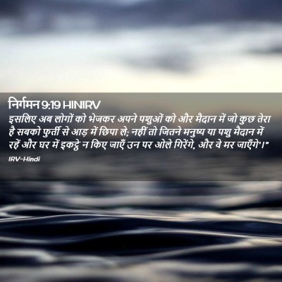 Picture 02 - निर्गमन 9:19 HINIRV - इसलिए अब लोगों को - Bible Verse Picture