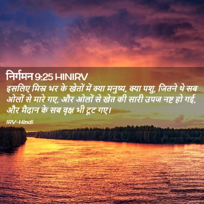 Picture 02 - निर्गमन 9:25 HINIRV - इसलिए मिस्र भर के - Bible Verse Picture