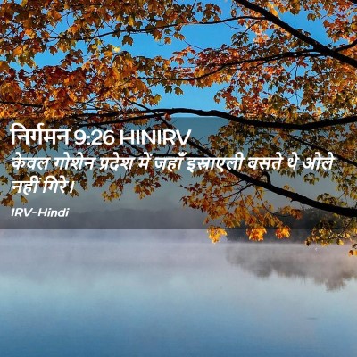 Picture 02 - निर्गमन 9:26 HINIRV - केवल गोशेन प्रदेश - Bible Verse Picture