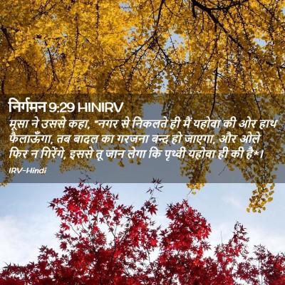 Picture 02 - निर्गमन 9:29 HINIRV - मूसा ने उससे कहा, - Bible Verse Picture