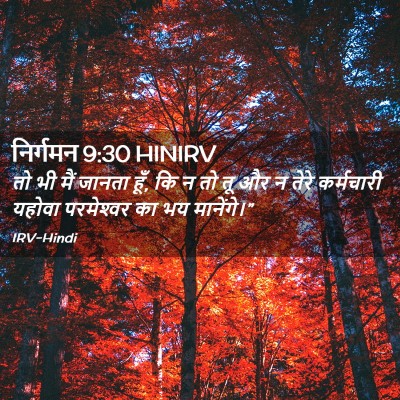 Picture 02 - निर्गमन 9:30 HINIRV - तो भी मैं जानता - Bible Verse Picture