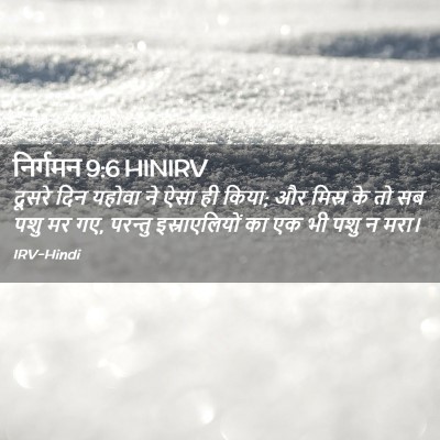 Picture 02 - निर्गमन 9:6 HINIRV - दूसरे दिन यहोवा ने - Bible Verse Picture