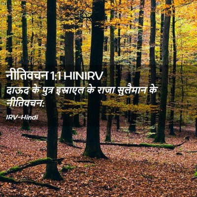 Picture 02 - नीतिवचन 1:1 HINIRV - दाऊद के पुत्र - Bible Verse Picture