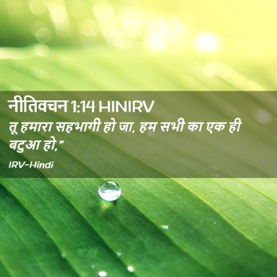 Picture 02 - नीतिवचन 1:14 HINIRV - तू हमारा सहभागी हो - Bible Verse Picture
