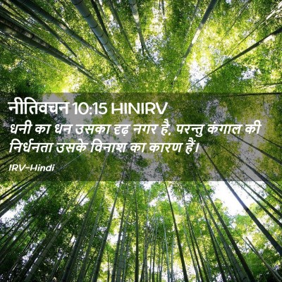 Picture 02 - नीतिवचन 10:15 HINIRV - धनी का धन उसका दृढ़ - Bible Verse Picture